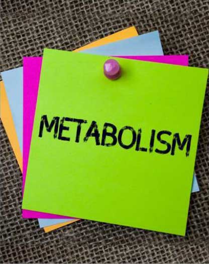 Metabolic weight-loss program