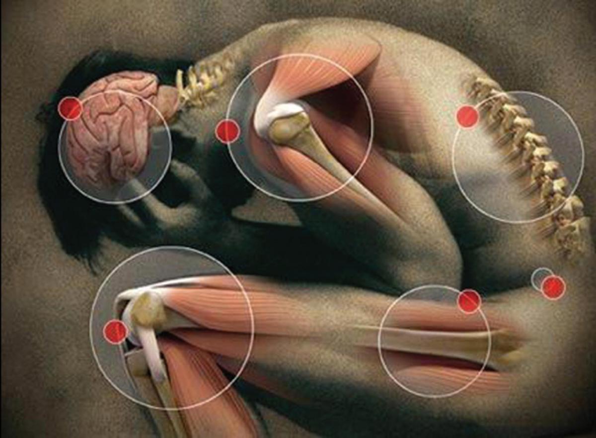 chronic pains Fighting A Chronic Illness